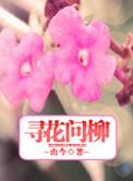 何寻梦的个人简历详情