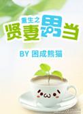 重生之贤妻男当by困成熊猫