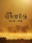 穿越之炮灰九福晋