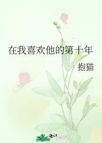 在我喜欢他的第十年晋江
