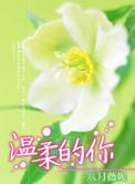 温柔的你王杰