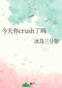 今天你crush了吗完结了吗