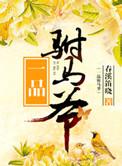一品驸马爷网剧