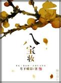 八宝妆txt资源