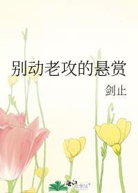 别动老攻的悬赏 剑止晋江