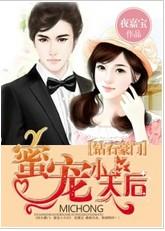 钻石婚宠独宠神秘妻