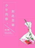 少年的你如此美丽是哪一年的