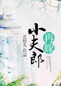 再嫁小夫郎晋江文学城