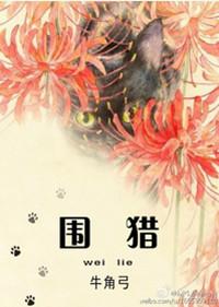 电视剧围猎