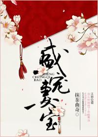 盛宠妻宝番外全集