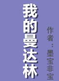 我的曼达林 墨宝非宝讲什么