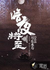 暗夜将至电视剧在线观看免费全集高清