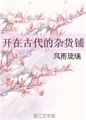 开在古代的杂货铺无防盗