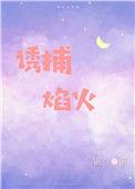 诱捕焰火完结