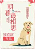 朝幕最相思