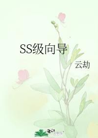 ss级向导TXT