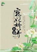 宠妃娇养日常百度