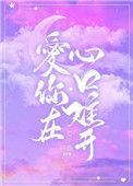 爱你在心口难开英文版