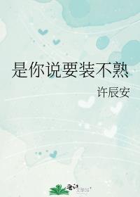 是你说要装不熟by许辰安番外