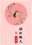 嫁给鳏夫完整版