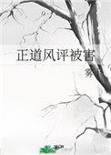 正道风评被害宝书网