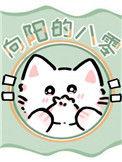 向阳的八零 作者杳却
