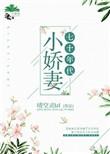 七0年代小娇媳