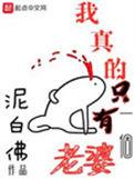 我真的只有一个老婆人格介绍