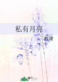 私有月亮歌词