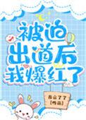 被迫出道后我红了