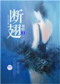 断翅5加代