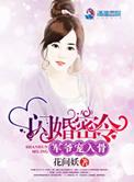军婚闪婚1v1攻略