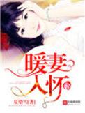 暖妻入怀时渊全文免费阅读