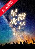 星火微芒TXT资源