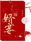 二嫁娇妾半溪茶讲述了什么
