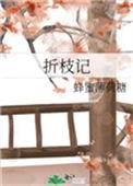 折枝记岁二年级语文课文朗去外婆家