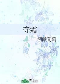 夺霜txt