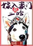 嫁入豪门2