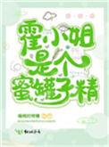 霍家小姐角色全名