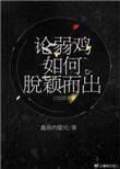 鶸 弱鸡