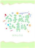 分手我是认真的免费