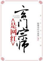 玄门宗师是网红画星