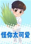 怪你太可爱笔趣阁