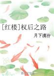 权谋红楼