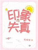 印象失真全文