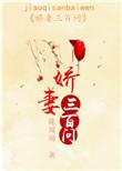 娇妻三33次出逃