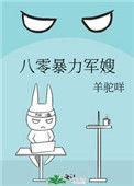 八零暴力军嫂完结