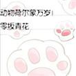 荷尔蒙二