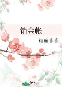 销金帐子什么意思