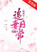 偏执狂的追妻法则免费阅读
